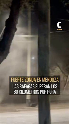 ALERTA MÁXIMA por VIENTO ZONDA en MENDOZA: con cables y árboles caídos, la DGE mantiene actividades