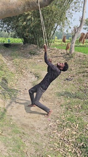 Sleeping on a tree branch.576#funny