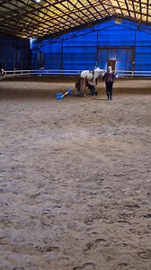 50K views · 196 reactions | “I was riding a pony when the teacher used a whip. The pony suddenly jerked, and I fell off.” Caption and video @nadia.selinaaa Make sure to follow us @horseloversfails for more fails No hate tolerated!! #horselovers #horsefails #horsefail #horseridingfail #horseridingfails #horses #horseofinstagram #jumping #horsejumping | HorseLovers Fails | Facebook