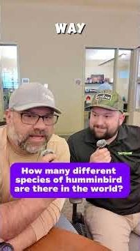 How many Hummingbird species are there? 🌺🐦