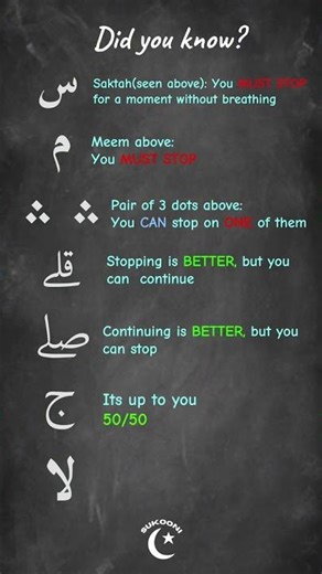 Qur’an Stop Signs Explained | Easy Guide for Beginners #tajweed #arabic #quran