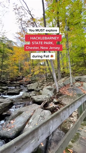 Exploring Things to Do in Chester, NJ and New Jersey