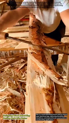 Satisfying Wood Debarking—Peeling Bark Like Butter!