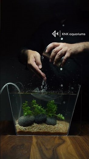 Betta Tank Setup #acrylictank #aquarium #bettafish