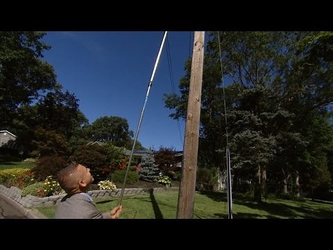 Man Arrested After Posting Video Showing How to Disable Red Light Cameras