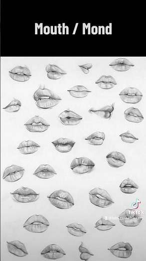 (Word Drill) Afrikaans Lessons for Beginners: Learn The Face #languagelearning