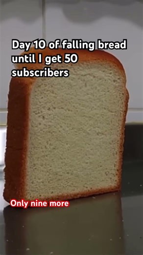Day 10 of falling bread till I get 50 subscribers only nine more we got this guy’s ￼