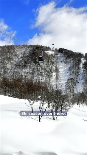 We asked the office: When is the best time to visit Japan? Which season gets your vote? Tell us in the comments. To explore our Japan tours with departure dates in all seasons, tap 'Learn more'. | Inspiring Vacations | Facebook