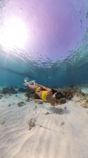 Cheers to the people who were healed and became a better version of themselves because of the ocean 🌊 | Queen's Escape