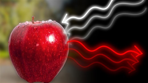 Electromagnetic waves and matter