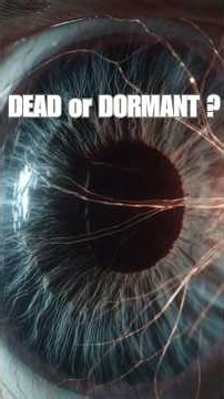Can Dead Optic Nerves Be REPAIRED? 🤯🔬 (2026 Update) #Glaucoma #VisionLoss
