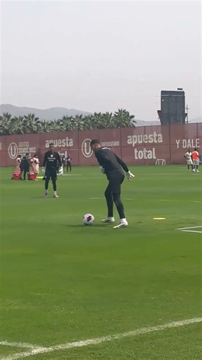 Universitario. Practicas de la U