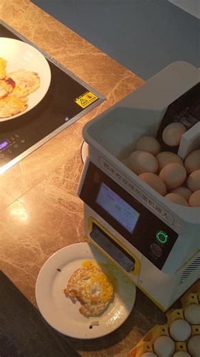 Automatic Egg Frying Machine for Perfect Eggs