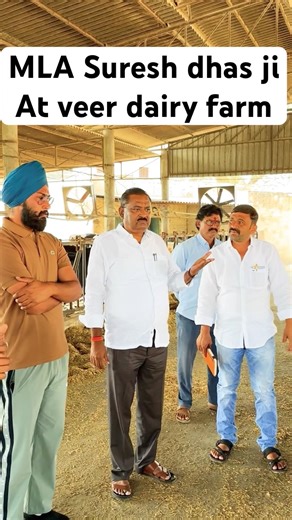 MLA Suresh dhas visiting veer dairy farm Punjab-vlog | Tour of Veer dairy farm #shorts #dairyfarm