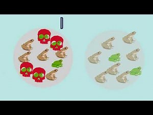 Mecanismos de la microevolución