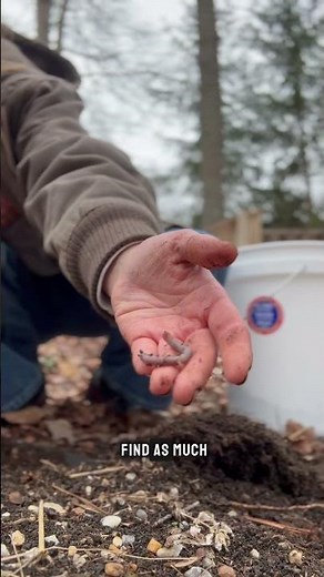 How to make a DIY worm farm!