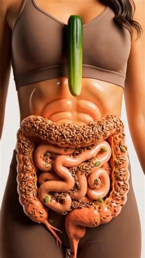How Food Travels Through Your Intestines. #education #science #usa #shorts #intestinal