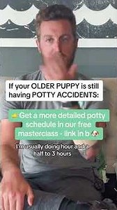 What to do if your older puppy is STILL having POTTY ACCIDENTS🐶🚽 #puppytraining #yournewdog #puppy