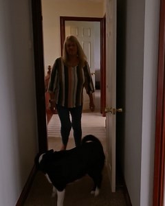 These Dogs Are Totally Normal… Until Night Falls 🌙 #doglover #dogtrainingtips #DogsBehavingVeryBadly | Dogs Behaving Very Badly