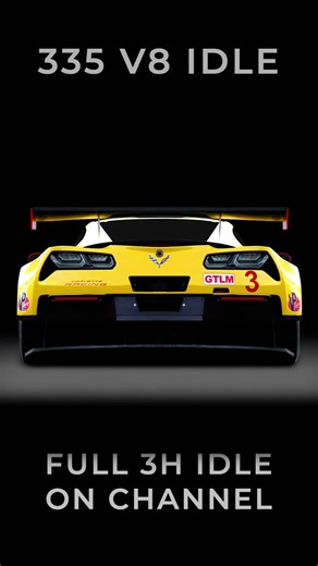 Chevrolet Corvette C7.R 335 V8 Idle Sound