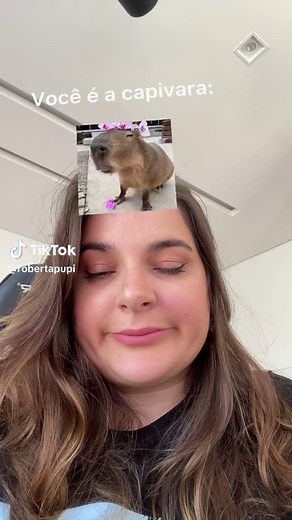Capivara Feliz: A Trend Animal Que Encanta