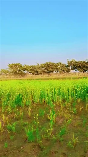 asid ali (@asid_ali6)’s videos with original sound - 𝕊ℍ𝔸𝔽𝕀ℚ 𝔾ℝ𝔸ℙℍ𝕐 🎧🫂🥲