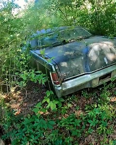 After a Lincoln was abandoned for 32 years, countless hours of work was needed to get it running again Budget Buildz YouTube | Supercar Blondie