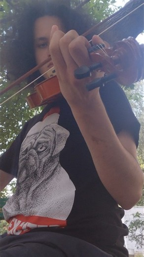 Säkkijärven Polkka, pt.1 🇫🇮 #violin #fiddle #finnish
