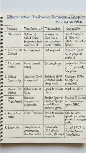 Difference between transduction conjugation and transformation