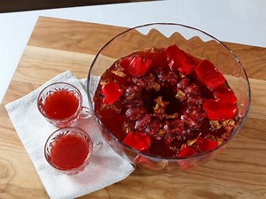 Pomegranate Holiday Punch