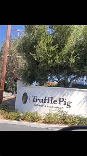 Enjoyed the last day of California Wine Month at a new winery in Temecula-Truffle Pig #winetiktok🍷 #winetasting #rosé #temeculawinecountry #temecula