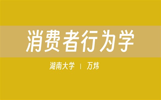 【湖南大学】消费者行为学（全63讲）