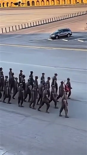 USMC Marching Drill 🇺🇸 #USMC #MarineCorps #Warrior