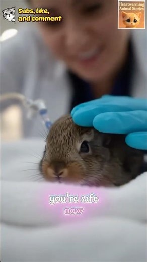Tiny Bunny Gets Medical Care at the Hospital 🏥🐰#shorts