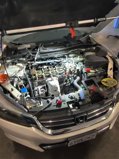 DM for inquiries. Mandar mensaje en privado para servicios 服務私人資訊 Tin nhắn riêng tư cho các dịch vụ