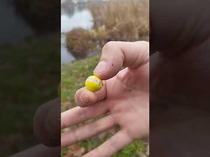 Carp Défi faire un fish avec le froid 🤔🎣🥶