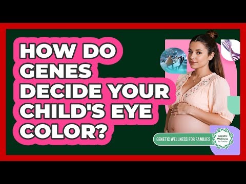 How Do Genes Decide Your Child's Eye Color? - Genetic Wellness for Families