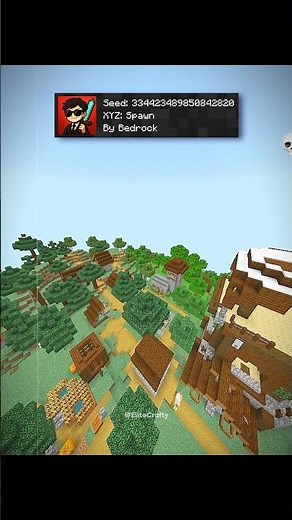 Minecraft Crazy Seed Moment