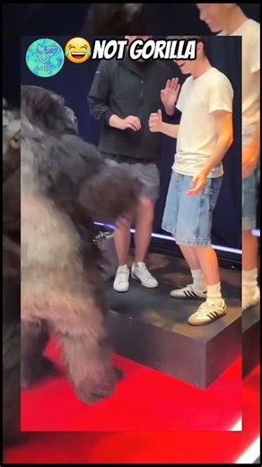 mrbeast games #mrbeast #mrbeasthindi #shortsfeed