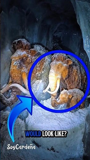 What do the Ice Age characters look like now? 😱