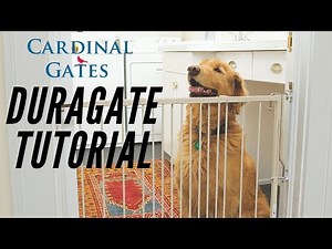 Gate Installation Tutorial: The Duragate Safety Gate