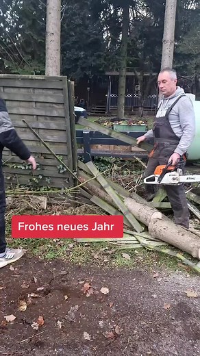 Tree Cutting Techniques for Beginners in Backyard Settings