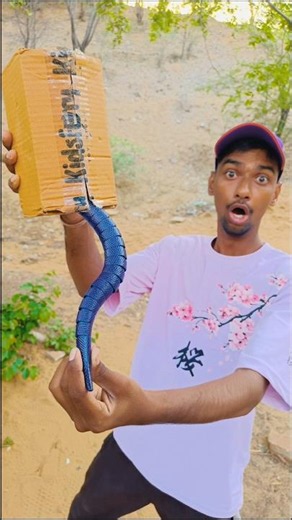 The snake went inside the box and got stuck. #shorts #viral #trending #video