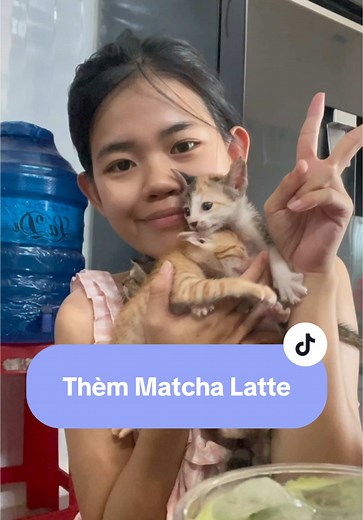 Những Chú Mèo Màu Đen Đáng Yêu Nhất