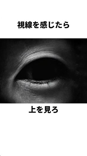 Ghost Extermination Methods ~Ghostbusters Would Shame on You~ #Halloween #UrbanLegends