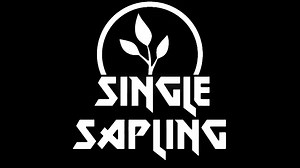 【游戏开发】unity中的FPS游戏【教程】