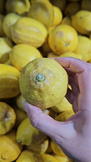 حيلة ذكية لمعرفة الليمون الحامض والمليء بالماء في ثوانٍ! 💡🍋 #cooking