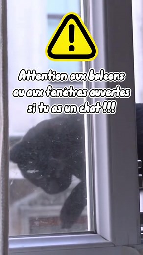 Conseils pour garder ton chat en sécurité à l'appartement