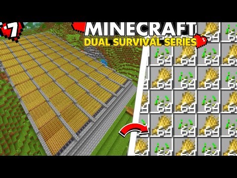 I Built the BEST Automatic Wheat Farm 🌾 | Minecraft PE 1.22 Dual Survival EP 7