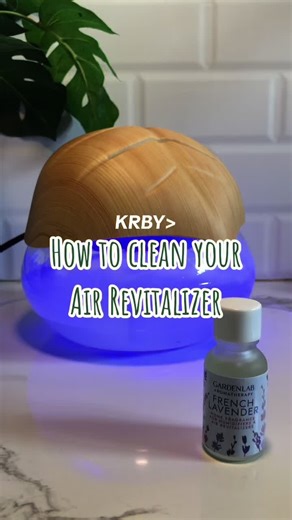 How to Clean Your Air Revitalizer - Easy and Effective Methods